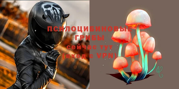 прущие грибы Алексеевка