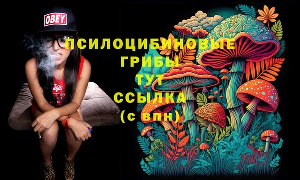 трава Алексин
