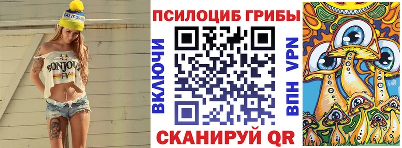 как найти Томилино Псилоцибиновые грибы Psilocybe